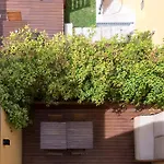 Bloom House By Sweet * Porto