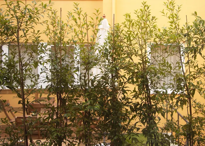 Bloom House By Sweet