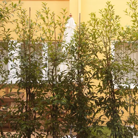 Bloom House By Sweet